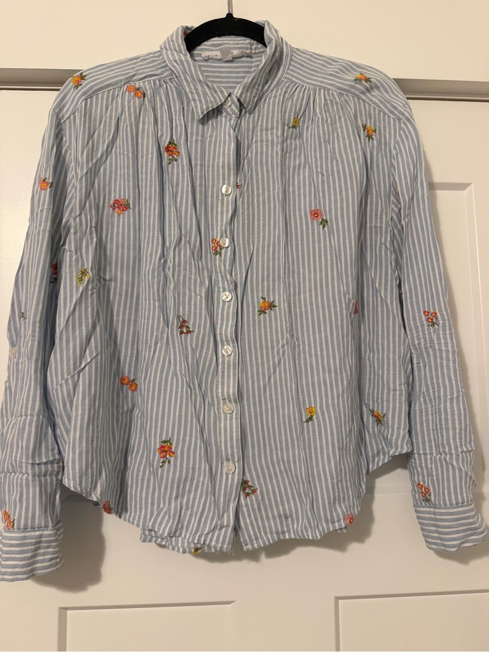Light Blue Striped Button-Up Shirt with Floral Embroidery